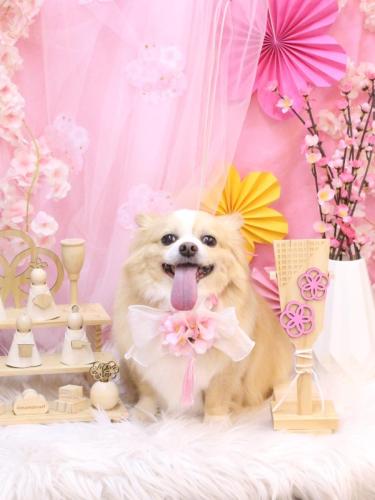 20250328マロ太くん